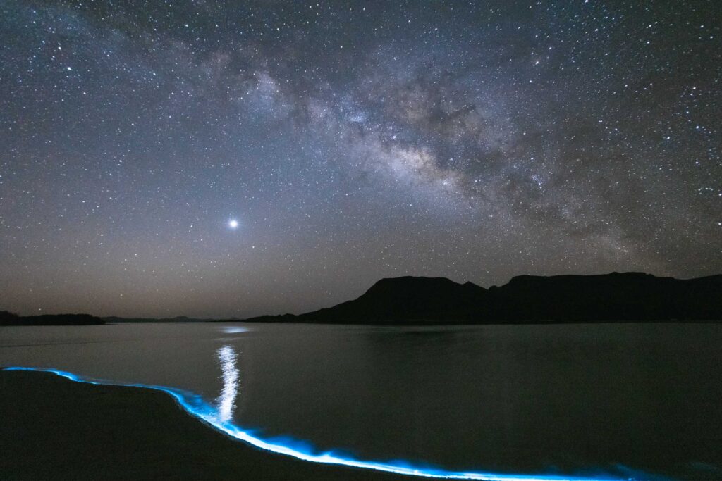 Vía Láctea y Bioluminiscencia en Playa El requesón