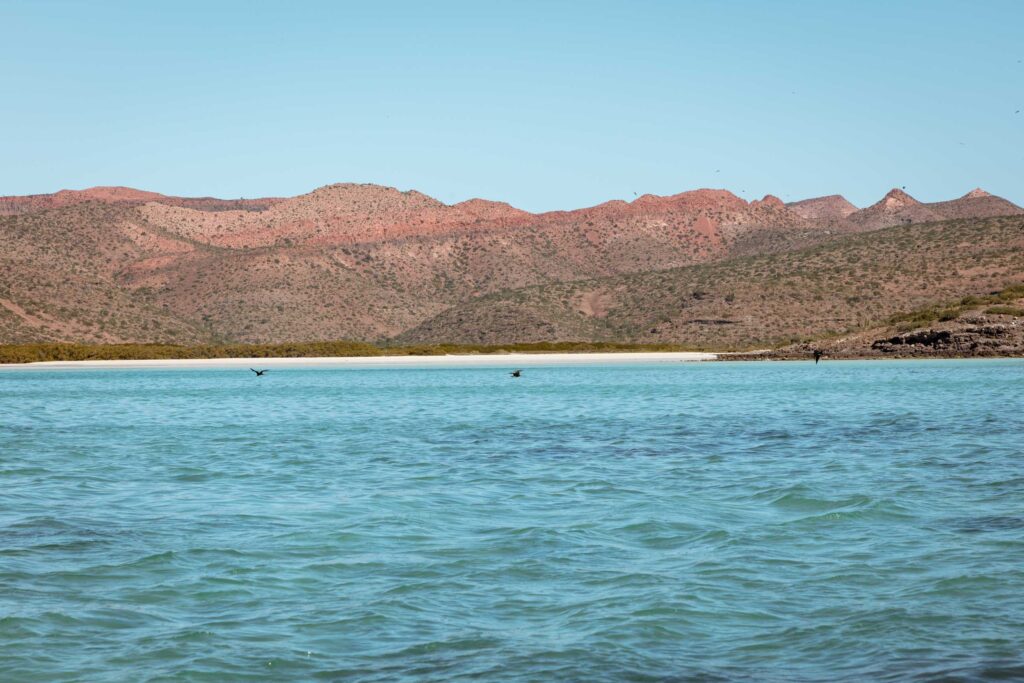 Isla Espíritu Santo