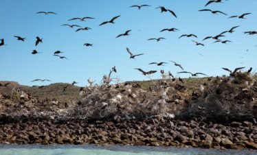 Isla Espíritu Santo