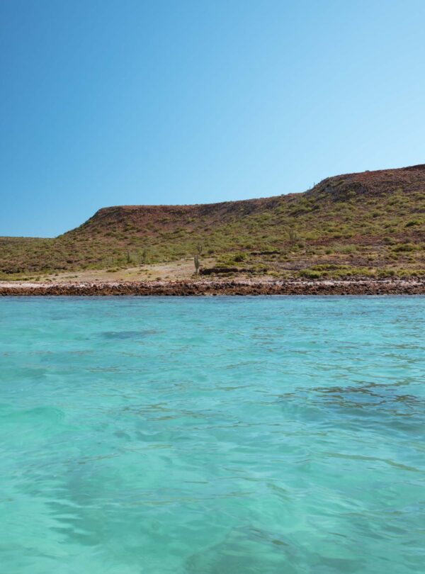 Isla Espíritu Santo