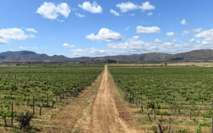 Tianguis Turístico 2025: Baja California Deslumbra como Anfitrión Bi-Nacional